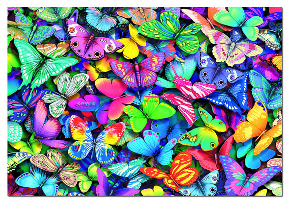 73206-butterflies-rainbow-butterflies